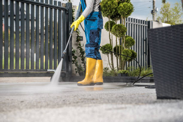 Best Power Washing Near Me  in Stockton, IL