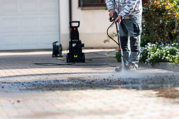 Best House Pressure Washing  in Stockton, IL